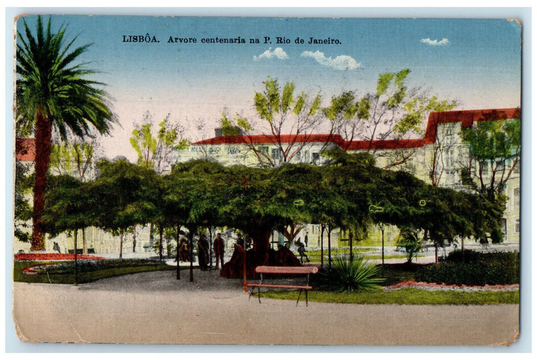 c1910 Arvore Centenaria Na P. Rio De Janeiro Lisboa Brazil Antique Postcard