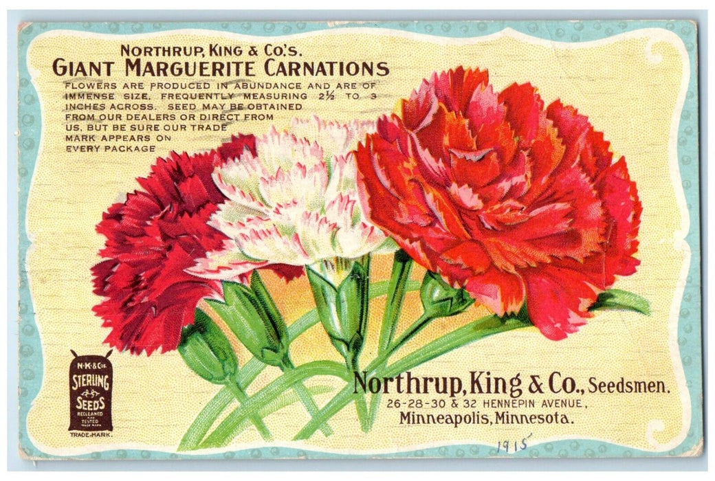 Giant Marguerite Carnations Northrup King Co Minneapolis MN Advertising Postcard