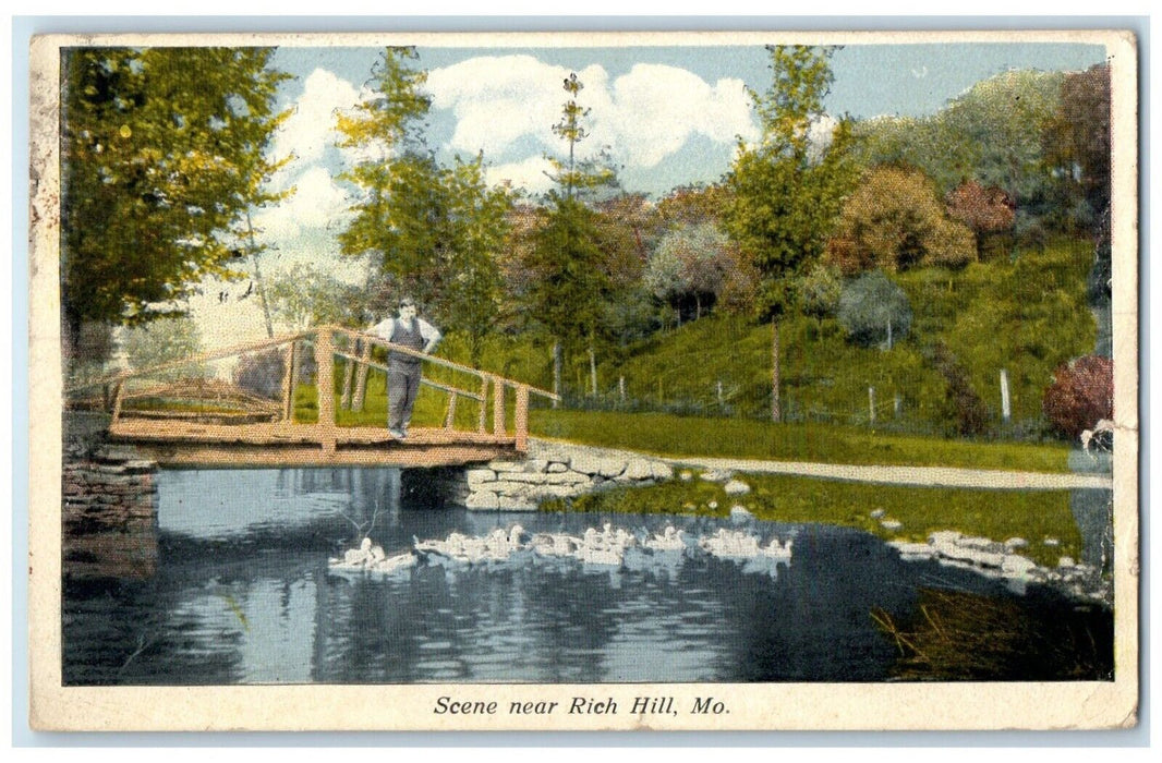 1916 Scene Bridge Lake Ducks Animal Rich Hill Missouri Antique Vintage Postcard