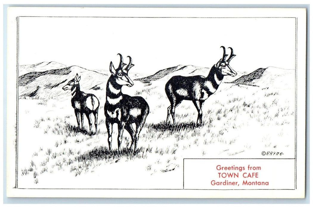 c1940 Greetings From Town Cafe Deer Field Gardiner Montana MT Vintage Postcard