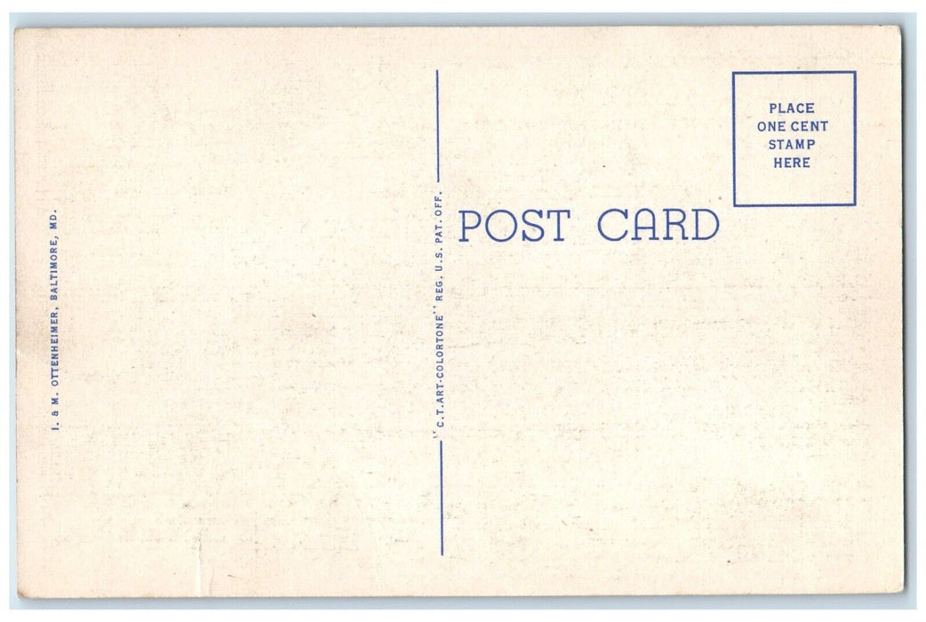 c1930's Camels Park Mansion Druid Hill Park Baltimore Maryland MD Postcard