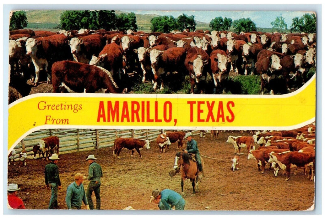 1961 Greetings From Amarillo Texas TX Cows Horse Dual View Banner Postcard