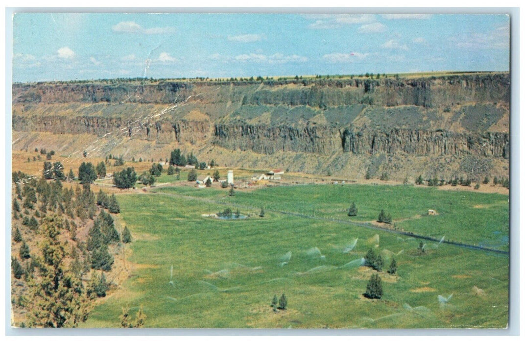 c1950's Bird's Eye View Of Crooked River Ranch Terrebone Oregon OR Postcard