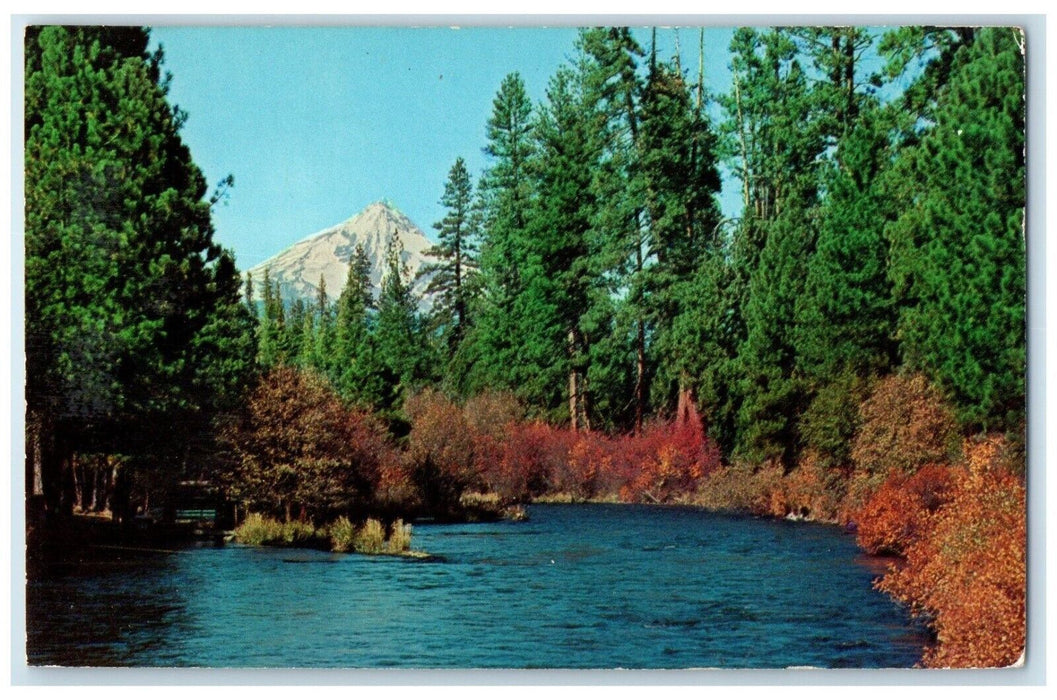 c1950's View Of Mt. Jefferson And The Metolius River Central Oregon OR Postcard