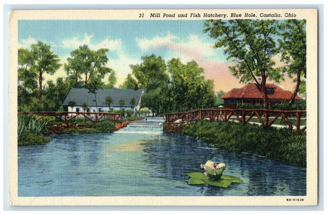 c1930's Mill Pond And Fish Hatchery Blue Hole Castalia Ohio OH Vintage Postcard