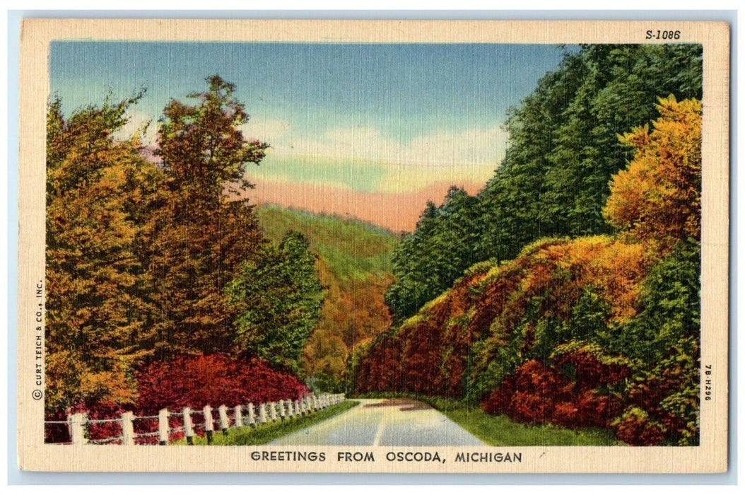 1958 Greetings From Oscoda Michigan MI Road And Trees View Vintage Postcard