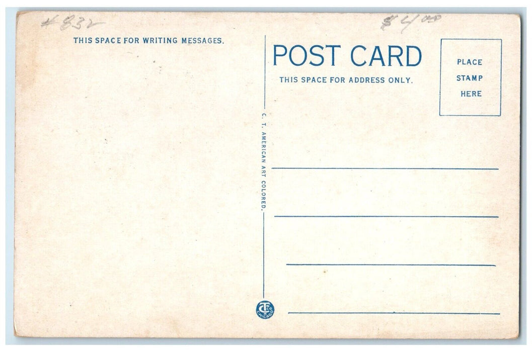 c1920  Exterior View Court House Building Trees Garden Salina Kansas KS Postcard