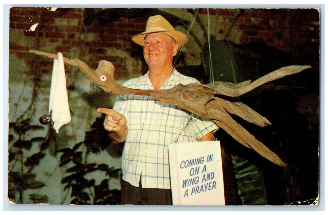 1960 Driftwood Bird Arthur Koepp Tchefuncta River New Orleans Louisiana Postcard