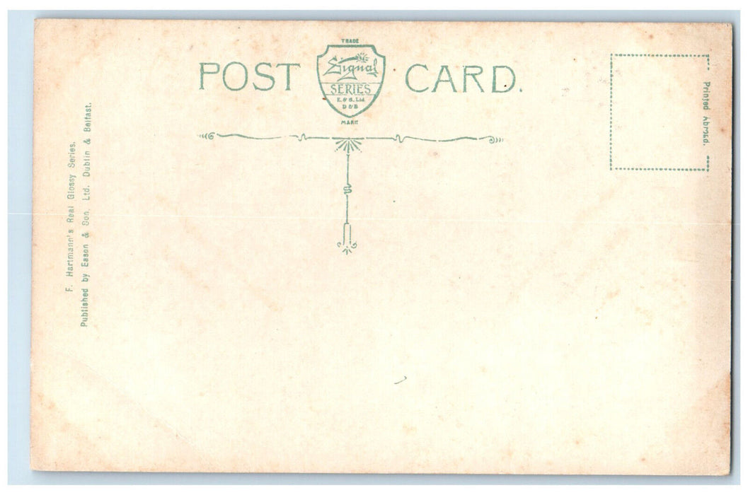 c1910 Phoenix Park & Wellington Monument Dublin Ireland Horse Carriage Postcard