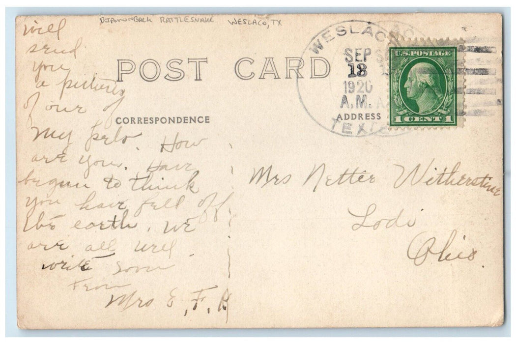1910 Diamond Back Rattle Snake Weslaco Texas TX RPPC Photo Antique Postcard