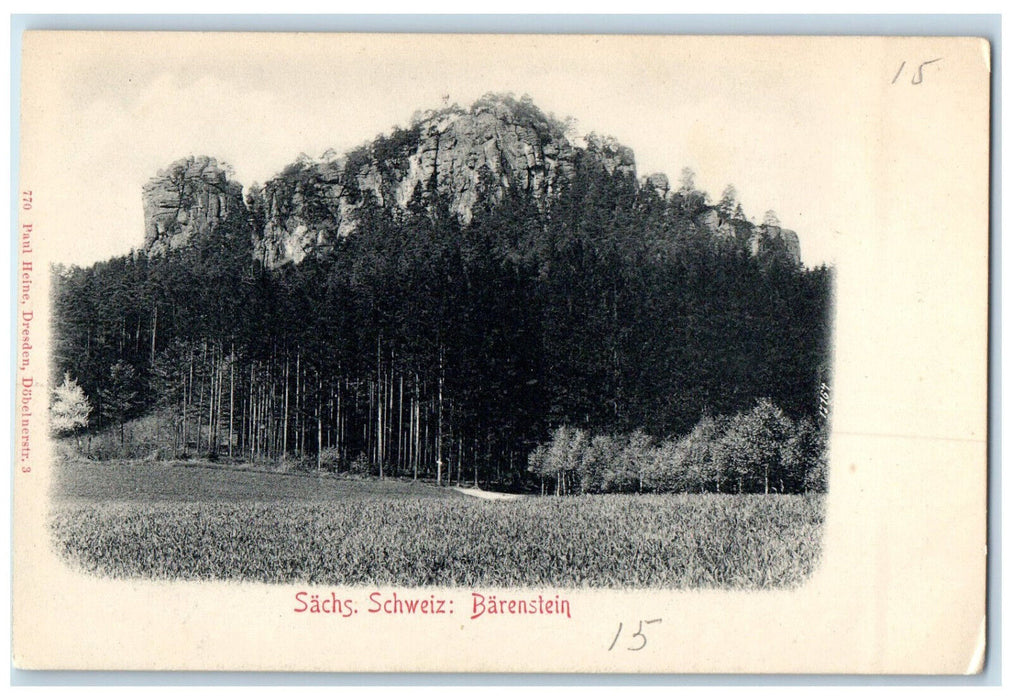 c1905 Scene at Barenstein Sachs Switzerland Antique Unposted Postcard