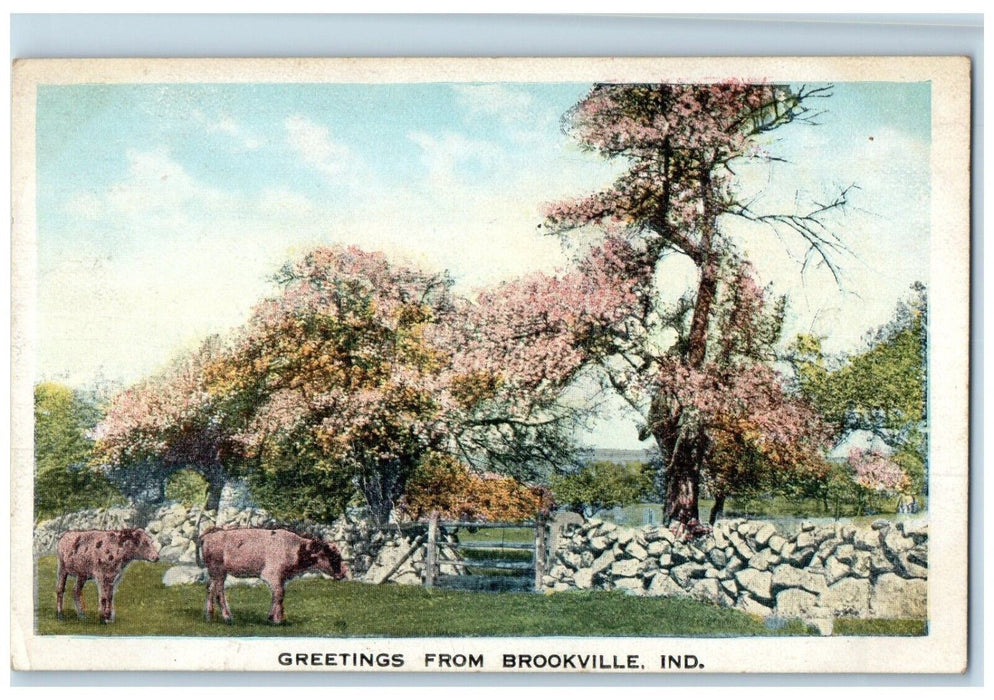 c1920 Scenic View Cow Animals Sakura Greetings From Brookville Indiana Postcard