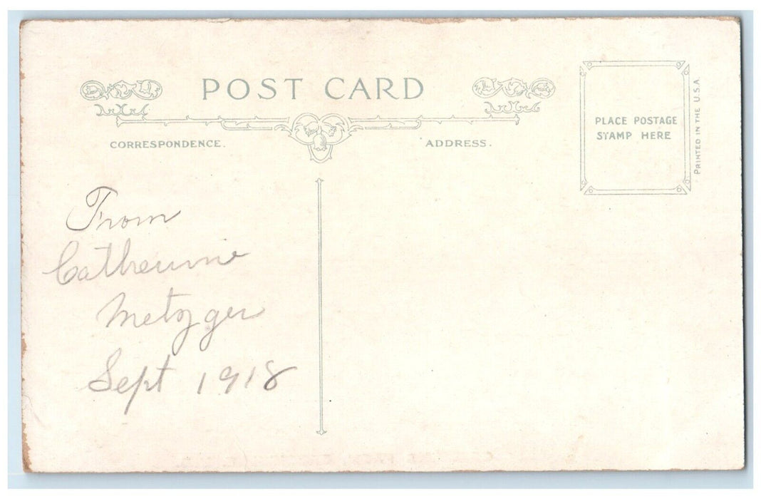 c1910 Entrance Road Trees Greeting From Brookville Indiana IN Unposted Postcard