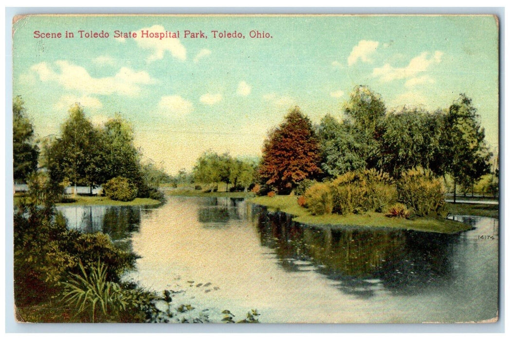 c1910 Scene Toledo state Hospital Park Toledo Ohio OH Vintage Unposted Postcard