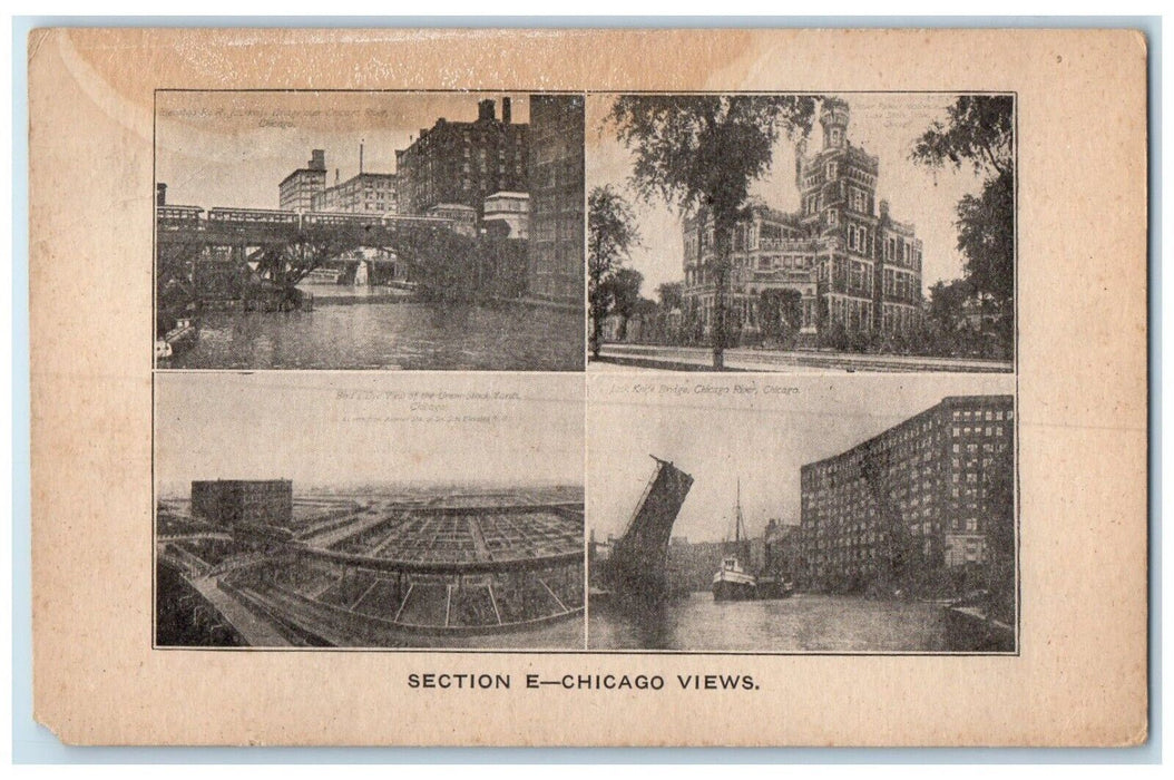 c1910 Section E-Chicago Views Exterior Building Multiview Illinois IL Postcard