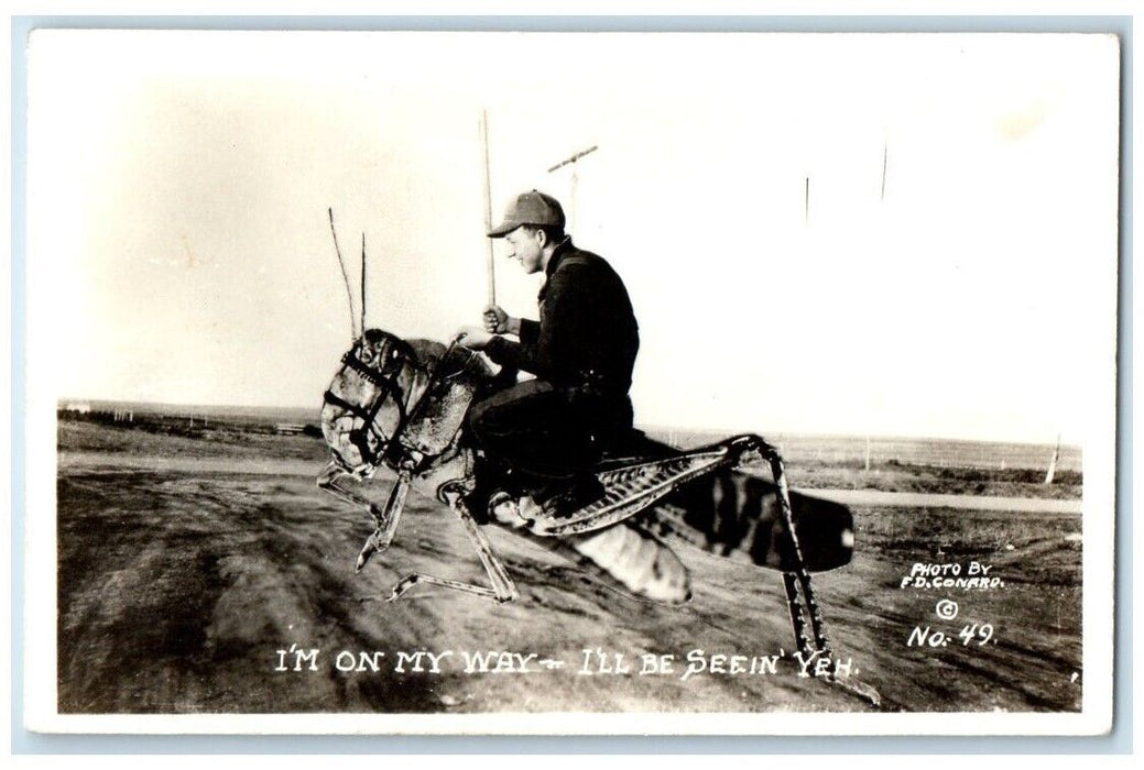 c1940's Exaggerated Riding A Grasshopper F. D. Conrad RPPC Photo Postcard