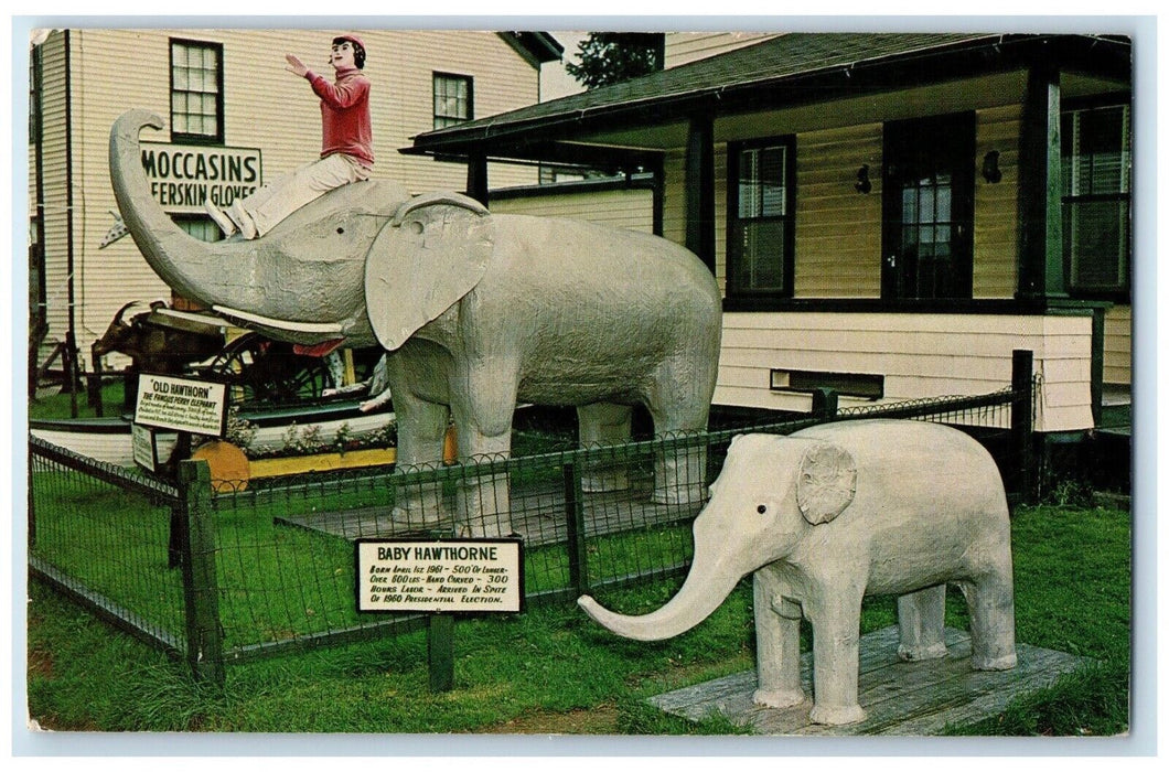 1968 Perry's Nut House Famous Elephants Exterior Statue Belfast Maine Postcard