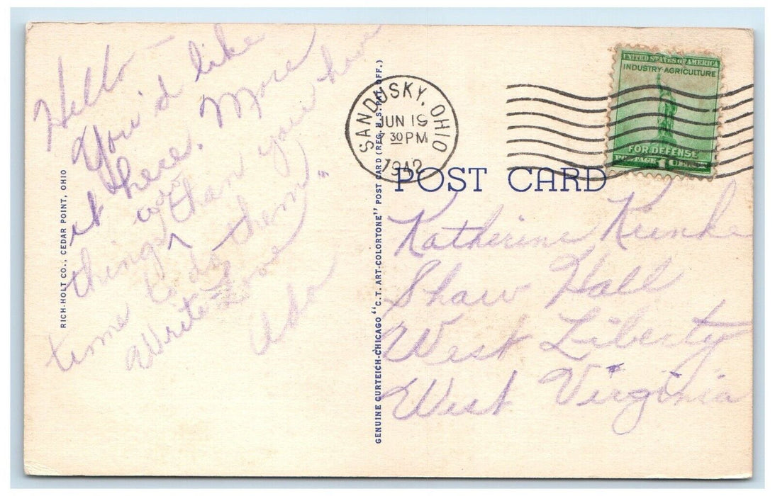 1942 Aeroplane View Cedar Point Lake Erie Sandusky Ohio Vintage Antique Postcard