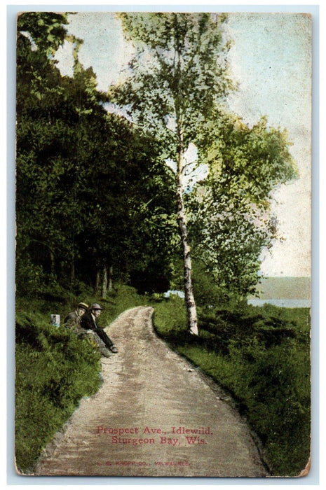 c1910 Prospect Ave. Idlewild Road Trees Sturgeon Bay Wisconsin Vintage Postcard