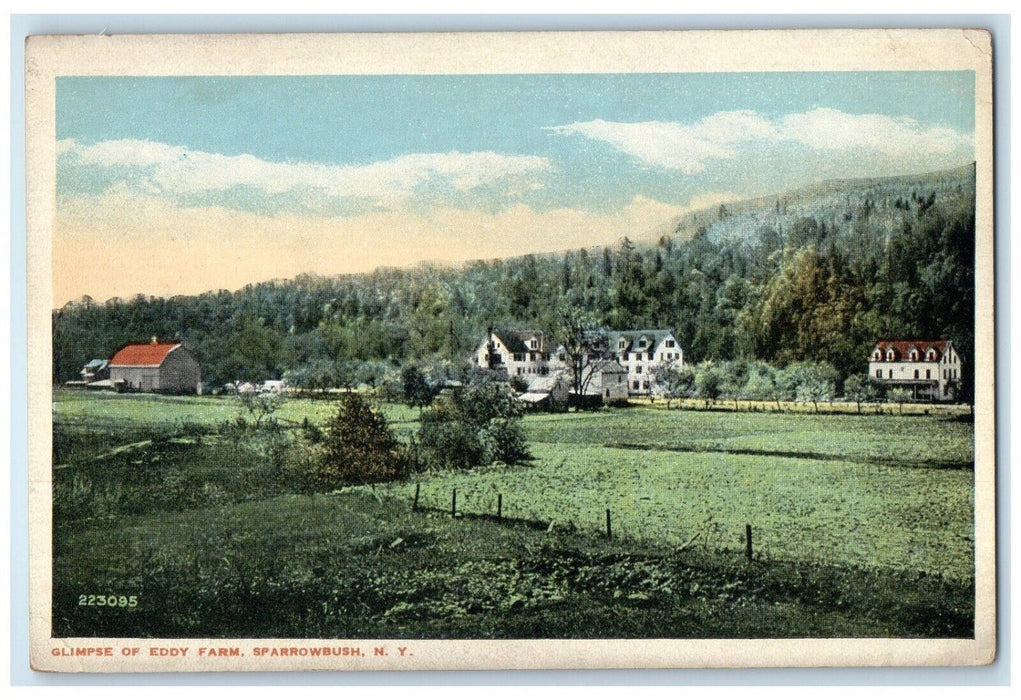 c1910's View Of Glimpse Of Eddy Farm Sparrowbush New York NY Antique Postcard