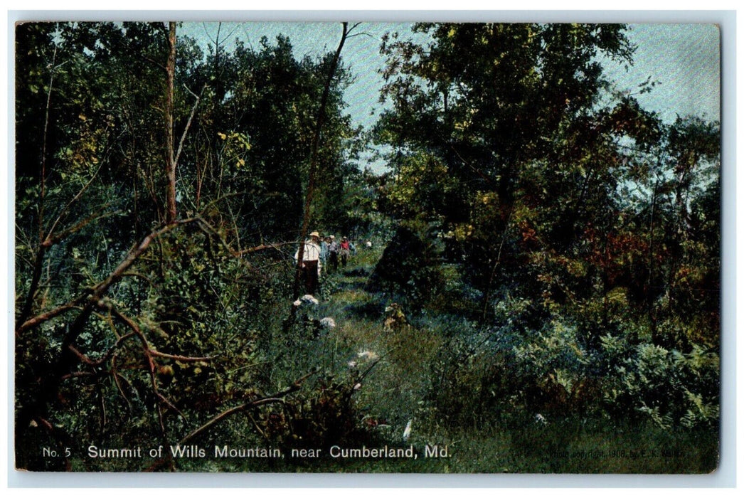 c1910's Summit Of Wills Mountain Near Cumberland Maryland MD Antique Postcard
