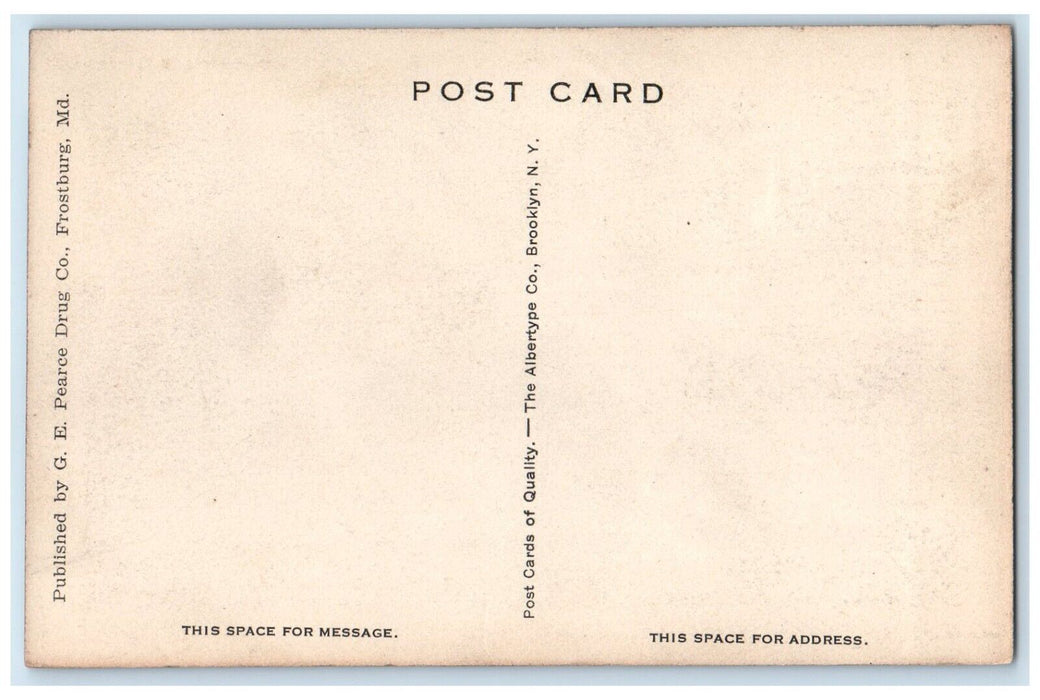 c1940's Bird's Eye View Of Cumberland Narrows Maryland MD Vintage Postcard