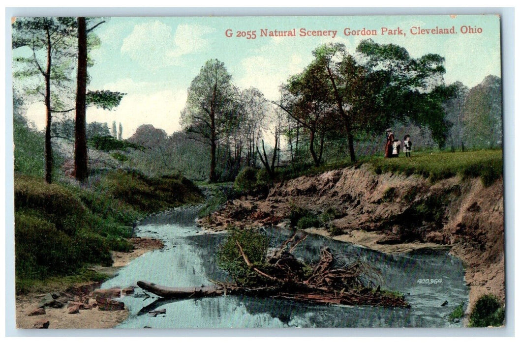 c1910 Natural Scenery River Gordon Park Cleveland Ohio Unposted Antique Postcard