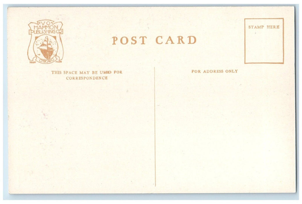 c1910 Hotel Wequetonsing Little Traverse Bay MI Vo Hammon Publishing CO Postcard