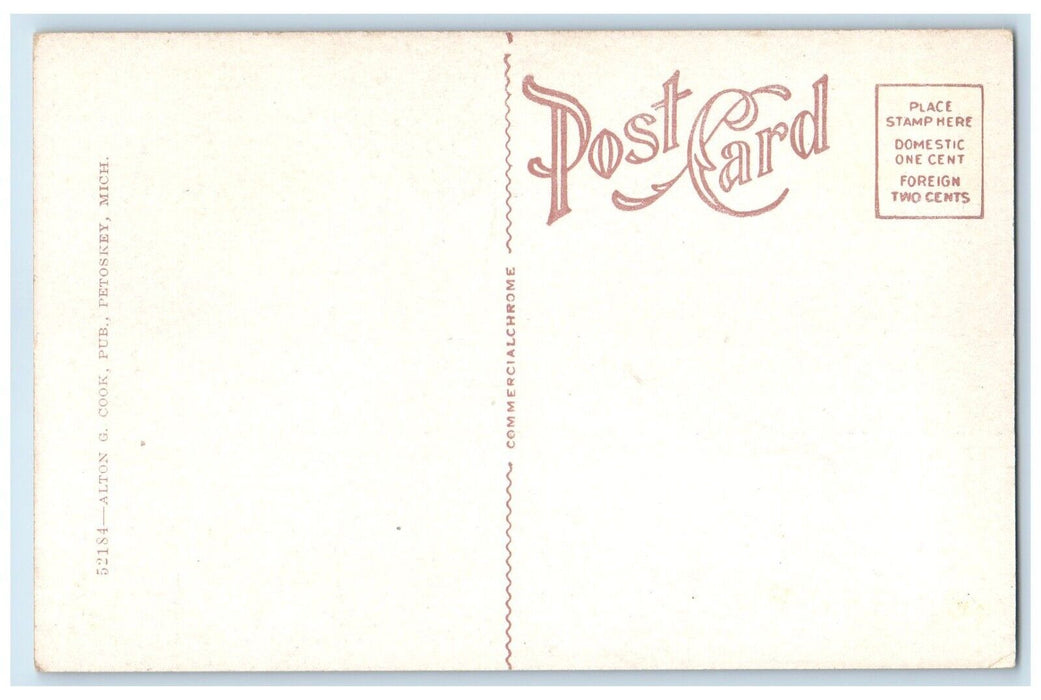 c1920 Birds Eye View Harbor Point Steamer Cruise Ship Lake Michigan MI Postcard