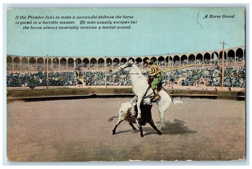 1916 Bull And Horse Fighting USS Michigan US Navy Ship Sailor Mail Postcard