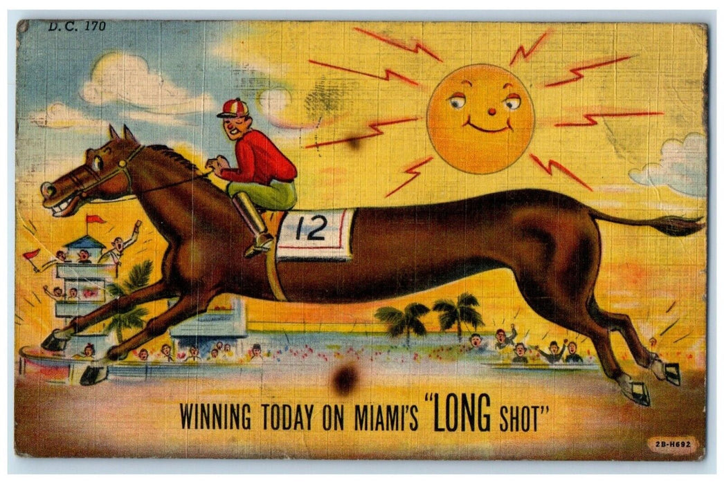 Dachshund Dog Horse Comic Winning Today On Miami's Long Shot Miami FL Postcard