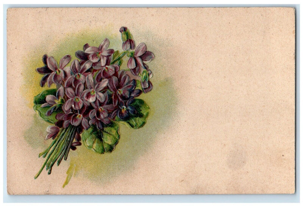 1908 Purple Pansies Flowers Embossed Pennville Indiana IN Antique Postcard