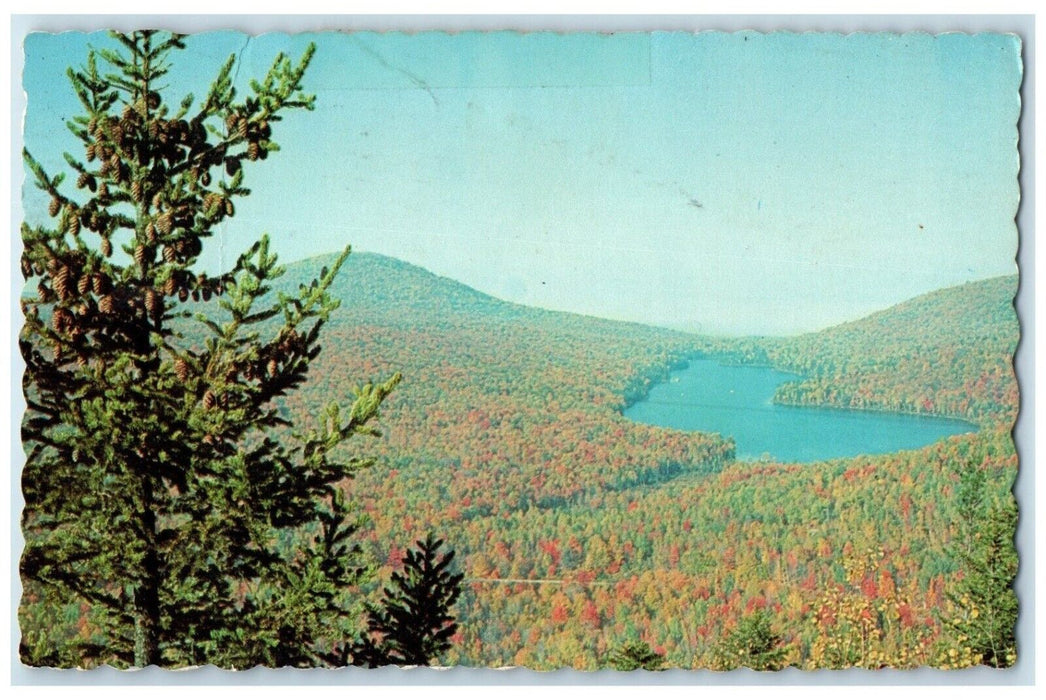 1968 View From Owl's Head Groton State Forest Montpelier Vermont VT Postcard