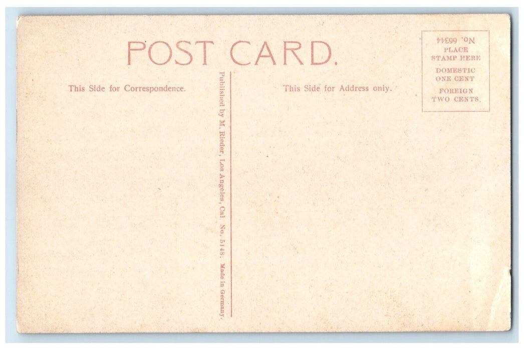 c1910's Wheat In An Oregon Warehouse Portland Oregon OR Antique Postcard