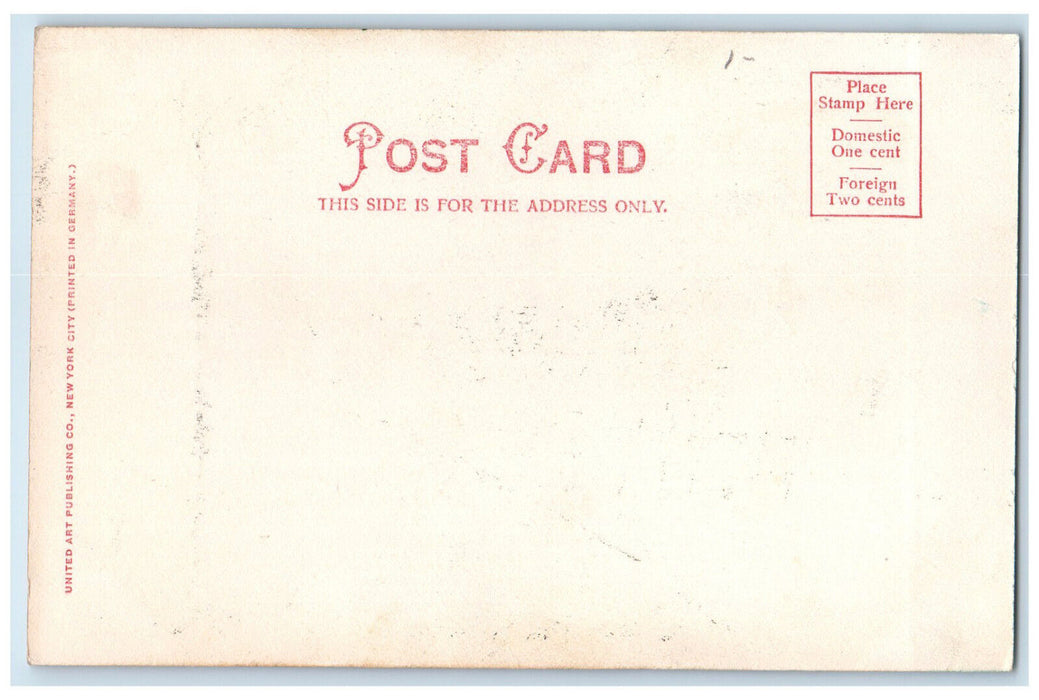 c1905 Royal Palms on Arecibo Road Puerto Rico Antique Unposted Postcard