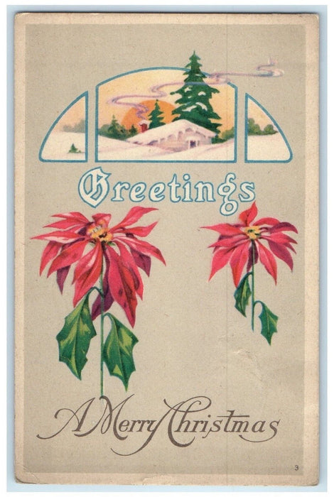 1919 Christmas Greetings Poinsettia Flowers Winter Bucyrus Ohio OH Postcard