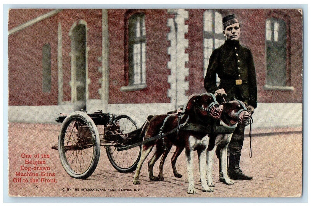 1915 Belgian Dog Drawn Machine Guns Off On The Front Long Beach CA Postcard