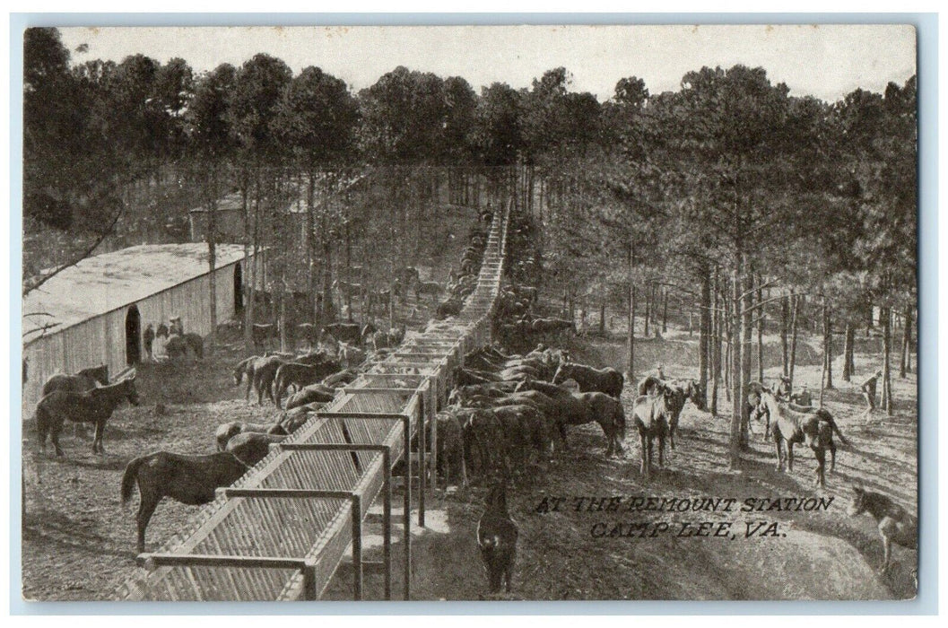 c1910's At The Remount Station Camp Lee Virginia VA, Horses Antique Postcard