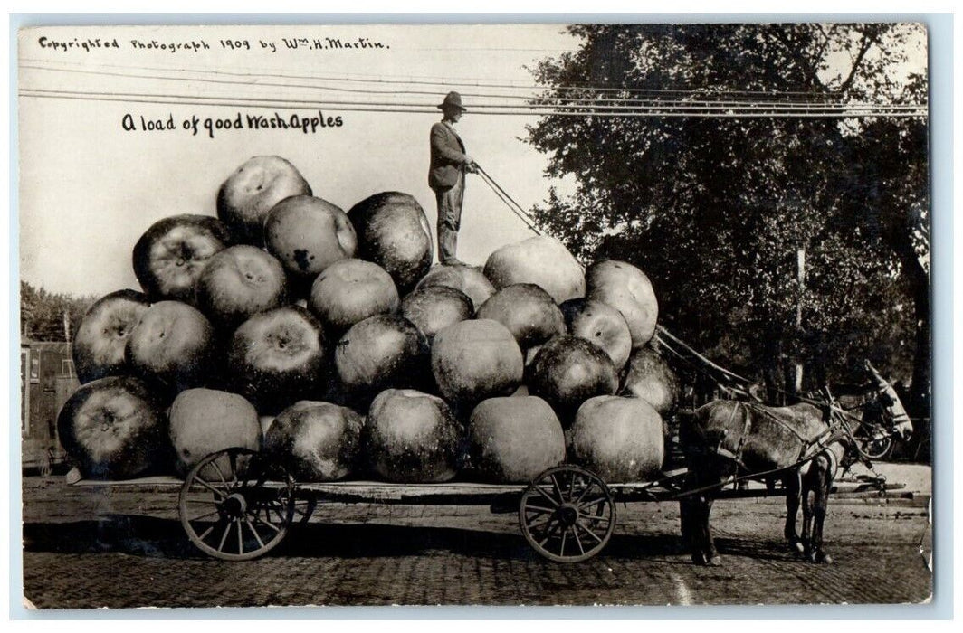 1909 Martin Exaggerated Washington Apple Horse Cart View  RPPC Photo Postcard
