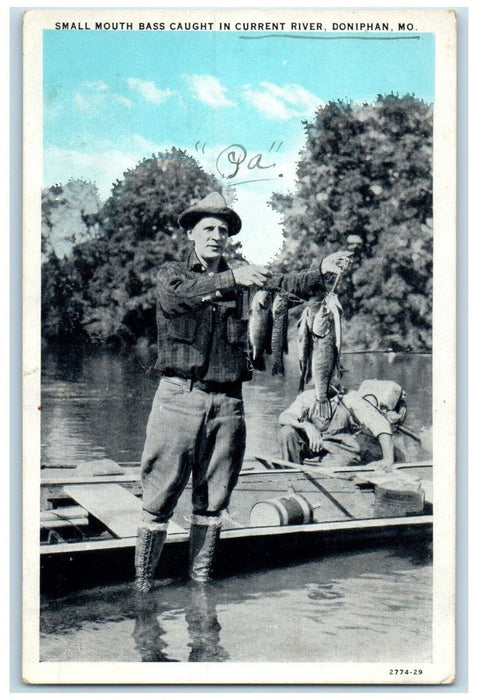 c1930's Small Mouth Bass Caught In Current River Doniphan Missouri MO Postcard