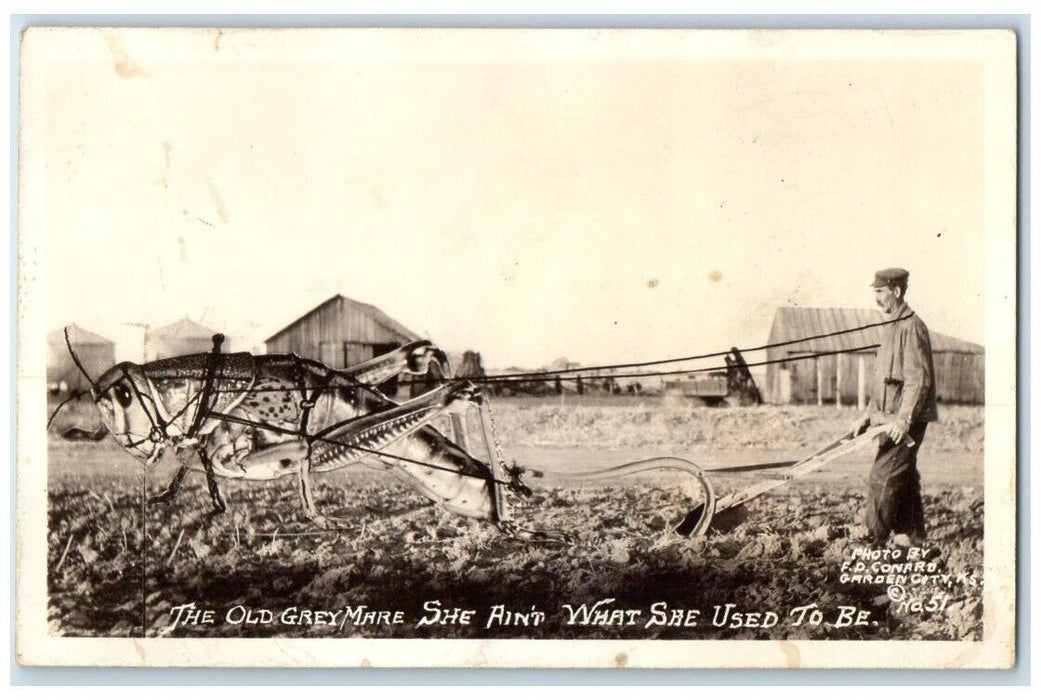 c1920's F.D. Conard Exaggerated Grasshopper Farmer Plow Farm RPPC Photo Postcard