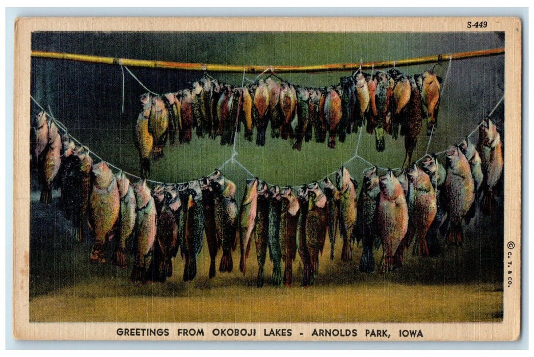 c1930's Greetings From Okoboji Lakes Arnolds Park Iowa IA, Fishes Postcard