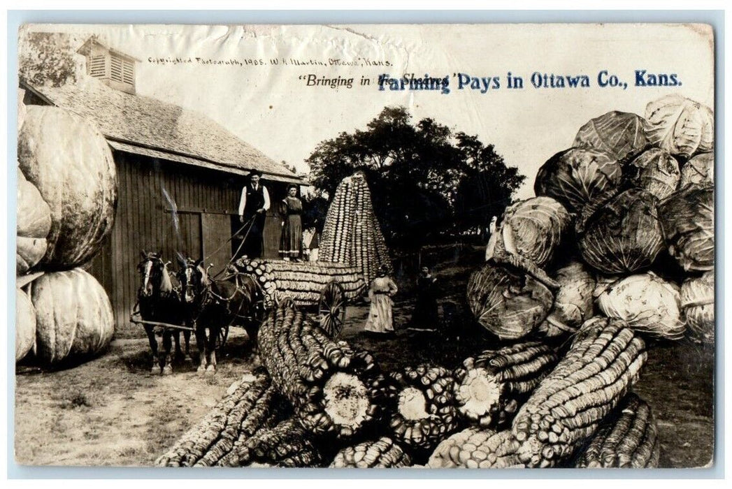 1909 W.H. Martin Exaggerated Corn Cabbage Horse Cart KS RPPC Photo Postcard
