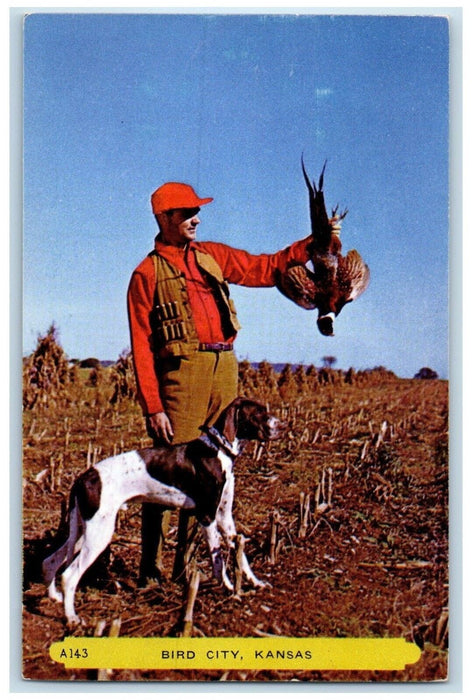 c1950's Pheasant Hunting Dog Bird City Kansas KS Unposted Vintage Postcard