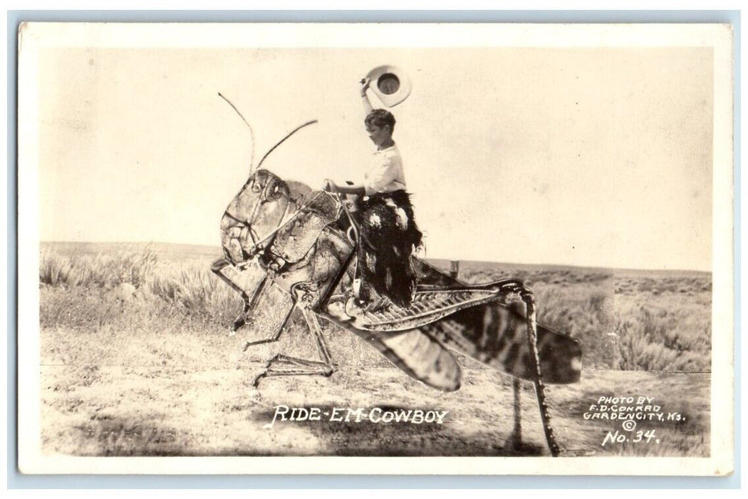 c1930 F.D. Conrad Exaggerated Grasshopper Ride Em Cowboy RPPC Photo Postcard