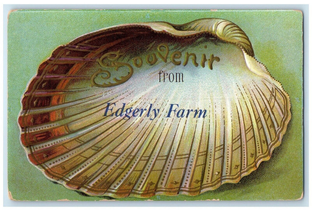 Souvenir From Edgerly Farm Lake Winnepesaukee New Hampshire NH, Shell Postcard