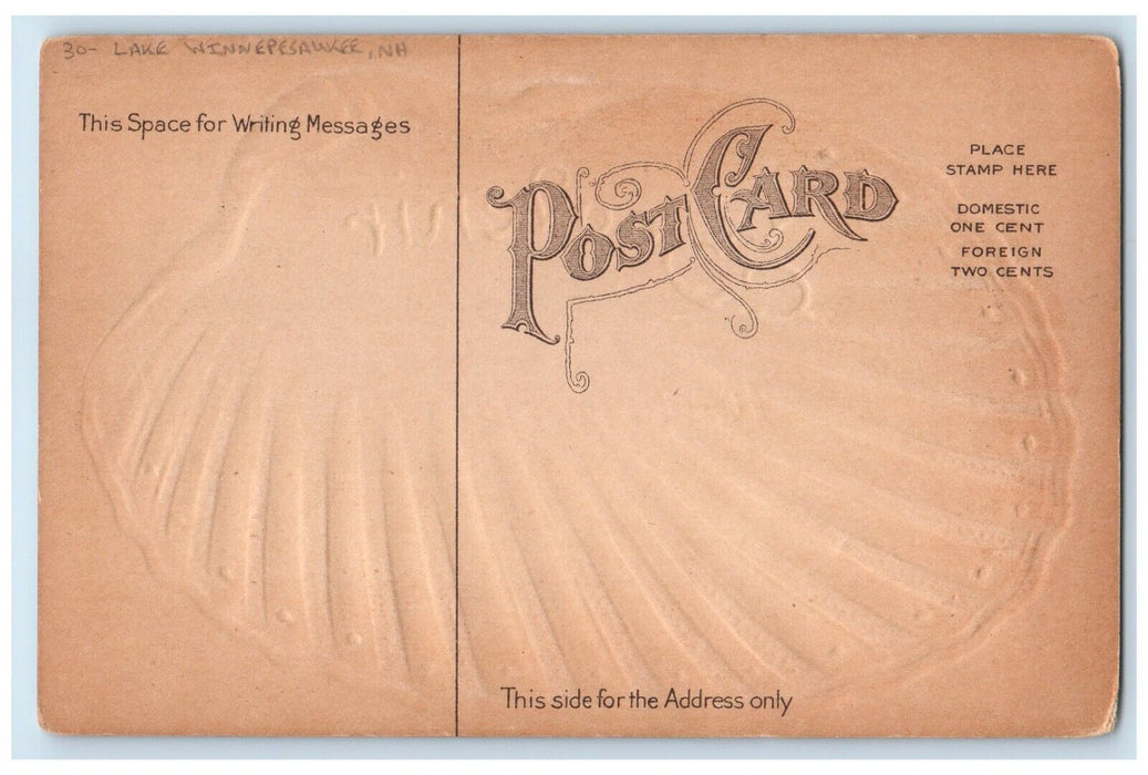 Souvenir From Edgerly Farm Lake Winnepesaukee New Hampshire NH, Shell Postcard