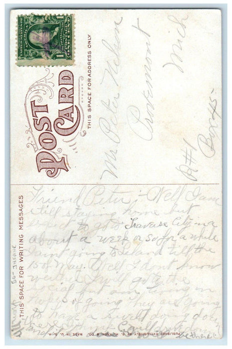 c1910's Main Gateway North Michigan Asylum Insane Traverse City MI Postcard