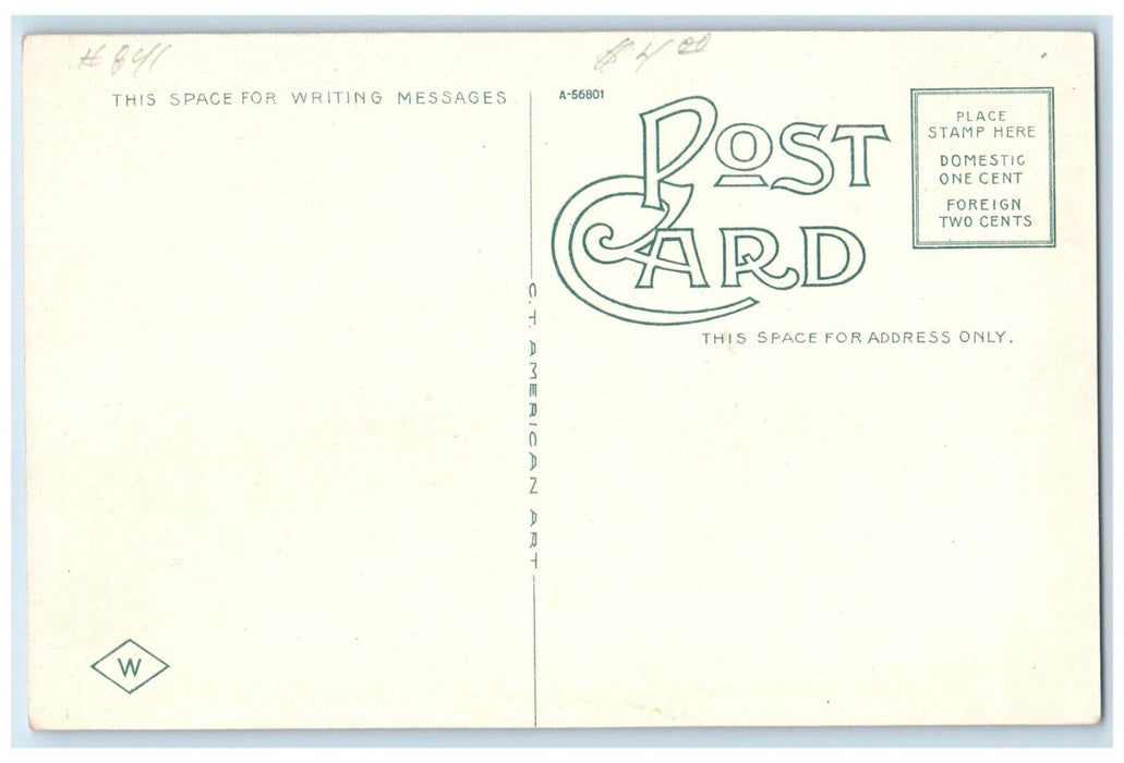 c1930's Adams County Court House Building Hastings Nebraska NE Vintage Postcard