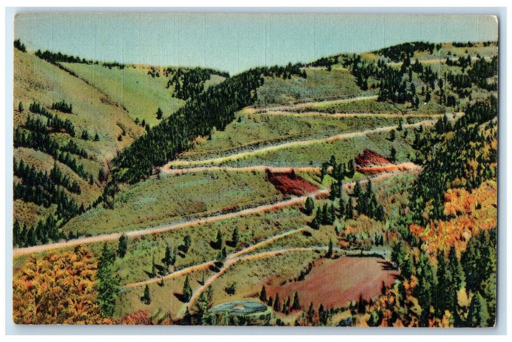 c1950's View Of Red River Pass Red River New Mexico NM Unposted Vintage Postcard